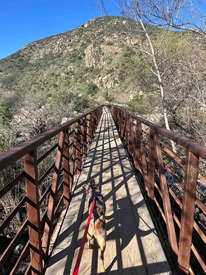 bridge over the creek
