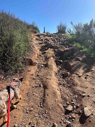 up hill at Oak Canyon Trail