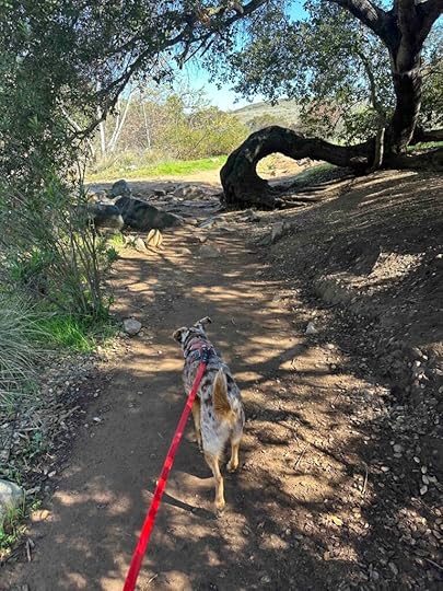 entering the wooded area