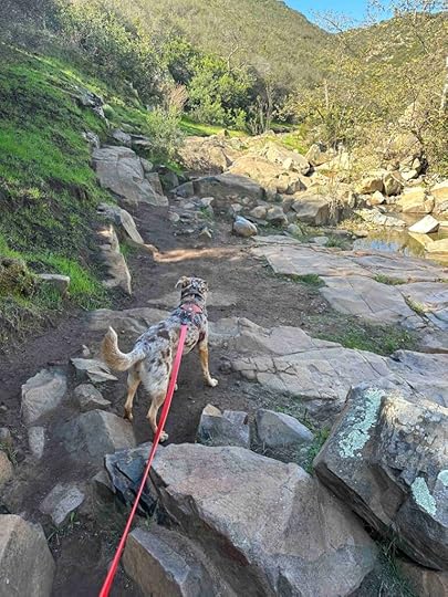 the big boulders at Oak Canyon Trail