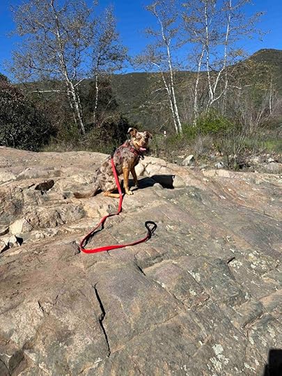posing on a big rock