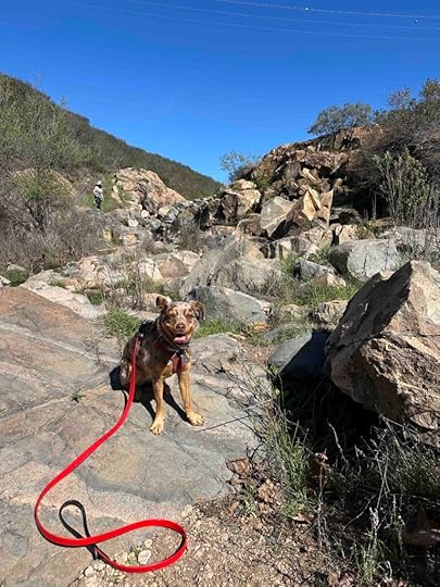 Oak Canyon Trail waterfall