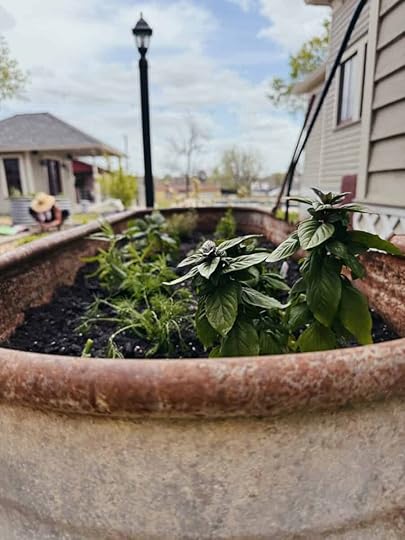 What’s in the Springtime Bucket?