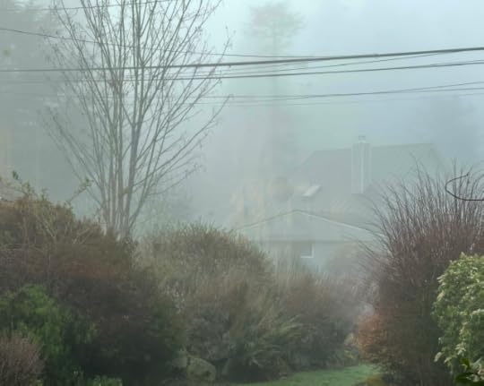 Bare trees and green grass wreathed in mist