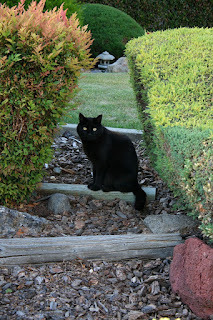 Panzer says, Off to find more treasure for you.