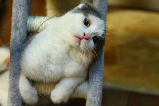 I thought I'd fit.