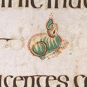 Small section of a vellum manuscript written in insular majuscule with a small illustration of an absolutely demented looking cat in meatloaf pose
