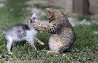 Listen when I talk to you.