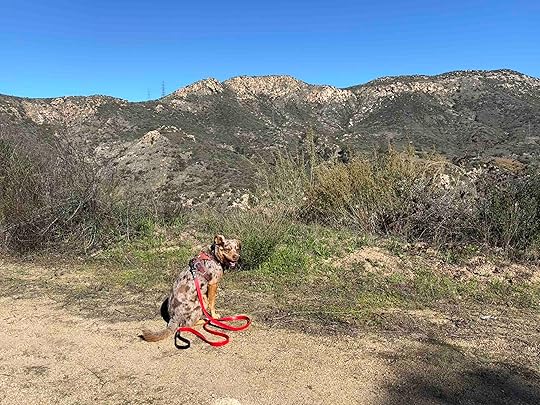 Louis A. Stelzer County Park