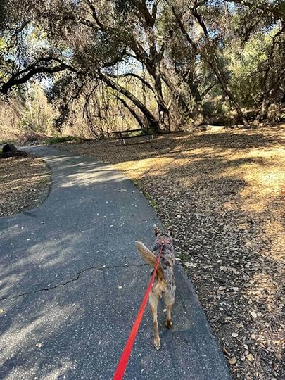on the trail at Louis A. Stelzer County Park