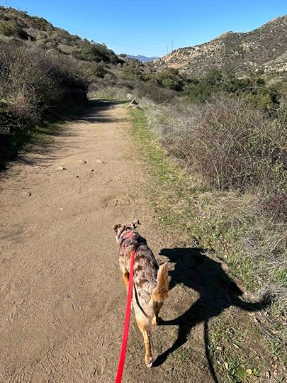 Louis A. Stelzer County Park