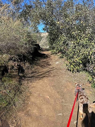 Louis A. Stelzer County Park
