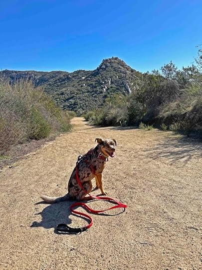 Louis A. Stelzer County Park