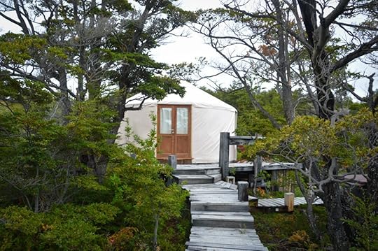 white canvas yurt at the end of a wood walkway in a forest of pine trees
