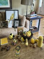 I was given five yellow birds last Monday!