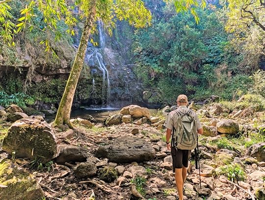 Secret Falls on Hawaii Forest and Trail Kohala Waterfall Hiking Big Island Hawaii 1