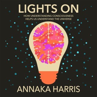 Lights On: Consciousness, the Mystery of Felt Experience, and the Fundamental Music of Reality