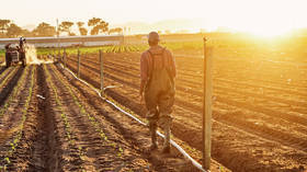 Are white farmers really persecuted? What’s behind the US-South Africa spat