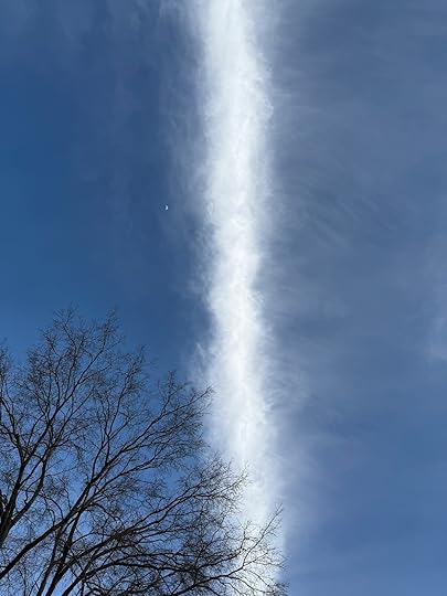 a tree and a line of clouds