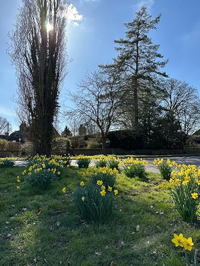 Daffodils and trees