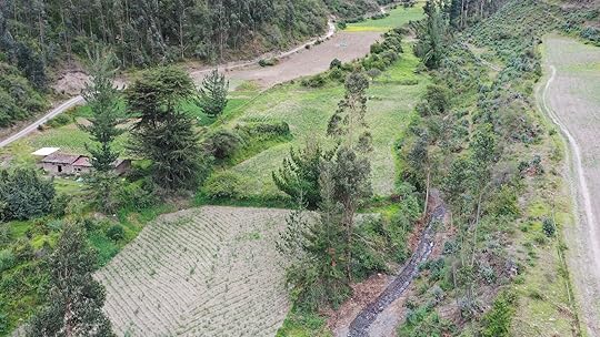 reforesting project in the andes