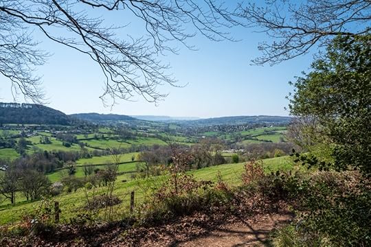 A view from the Ebworth Estate (c) Gabriel Hemery