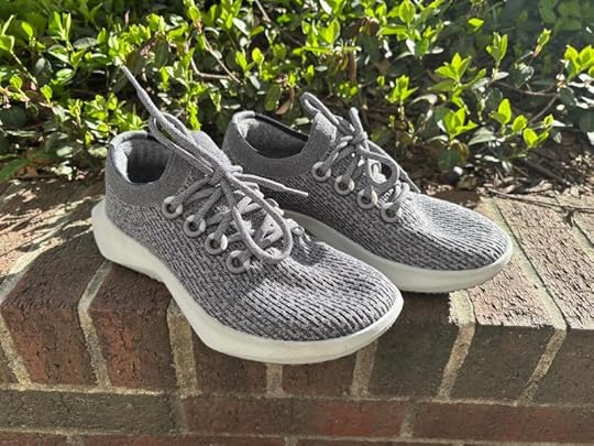 Allbirds Tree Dasher 2 Review
