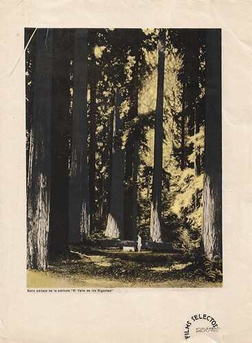 The Valley of the Giants (1927)