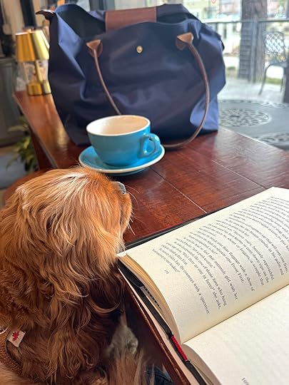 Nellebookshopteacupbookroundabout
