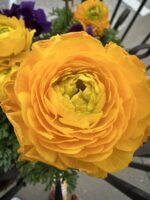 your body follows your eyes