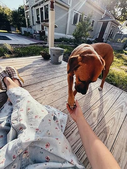 On Chicken Pot Pie, Being a Good Neighbor, and Being Just a Lil Ugly