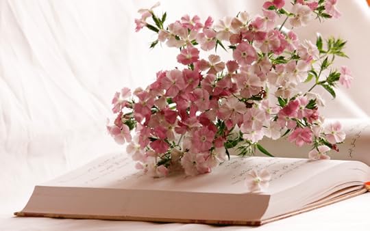 Pink flowers lying on an open book on a white desk
