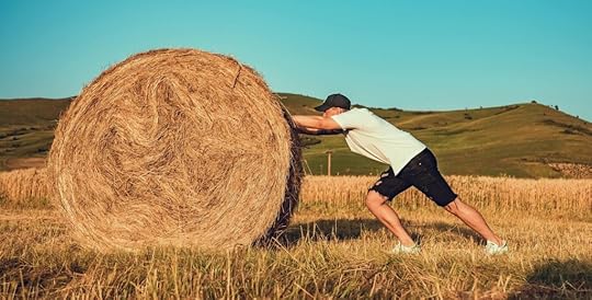 A photo of a white man wearing a t-shirt and shorts pushing a large hay bale across a mowed field. The background is green hills in front of a blue sky.