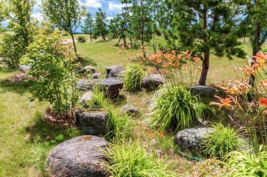 landscaping boulders in garden design