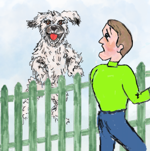 Mr Magoo, terrier jumping at fence