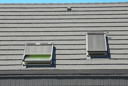 roof windows