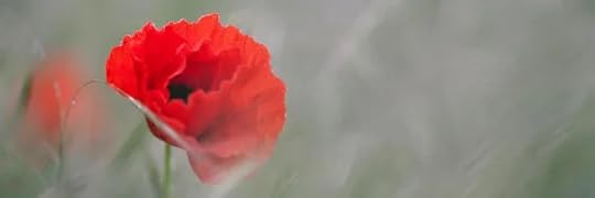 Recensione di La Bestia di Carmen Mola