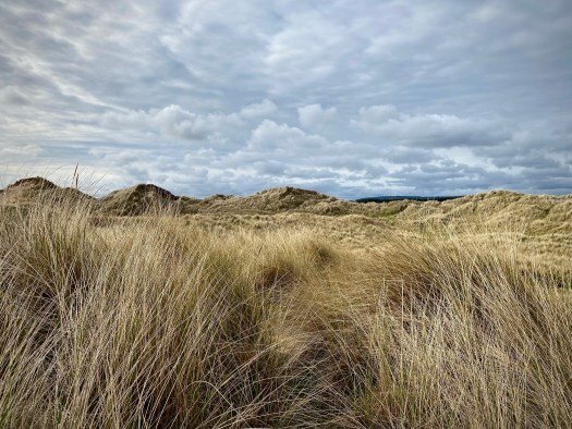 walking the dunes