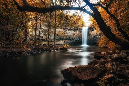 foster falls in tennessee