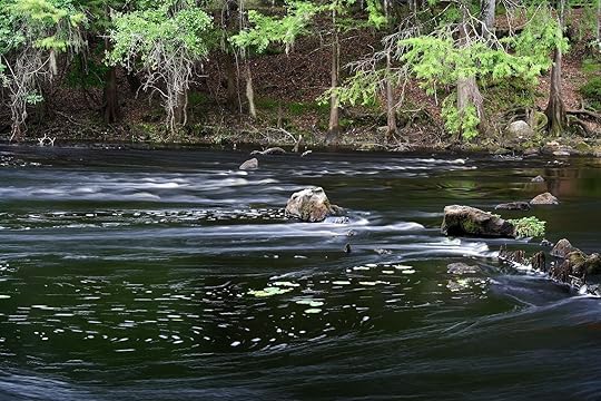 Santa Fe River in O'Leno State Park, Florida