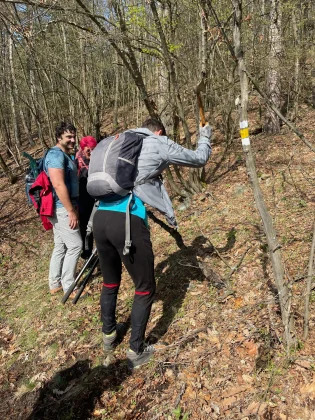ТД „Боерица“