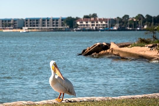 affordable beach towns - pasadena tx