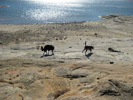 Anna and Karlie at Lake Grapevine in Flower Mound, Texas