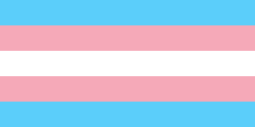 The trans flag. It's five horizontal stripes, and from the top the colours are turquoise, pink, white, pink, turquoise.