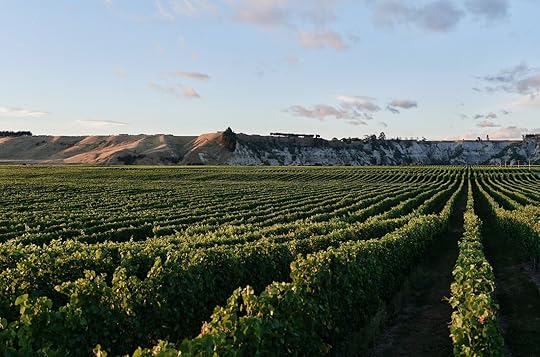 hawkes-bay-wine-region