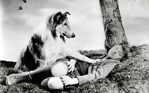 Roddy McDowall and Pal in Lassie Come Home (1943)