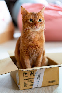 What? I fit. It's mine.