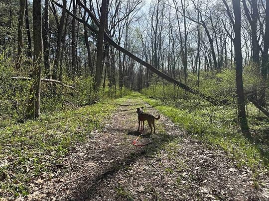 Ruth Kern Woodland Preserve
