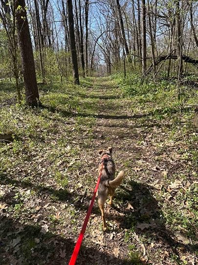 on the main trail at Ruth Kern Woodland Preserve