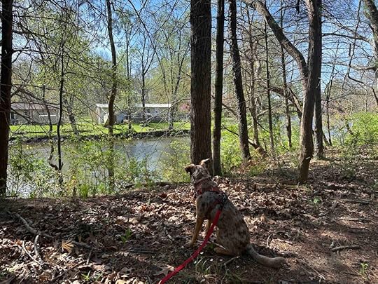 looking at Tippacanoe River